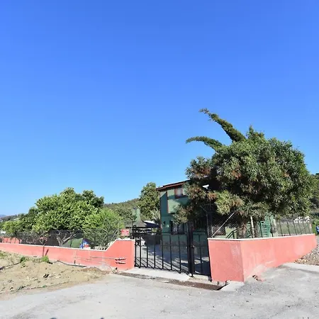 Denizevi